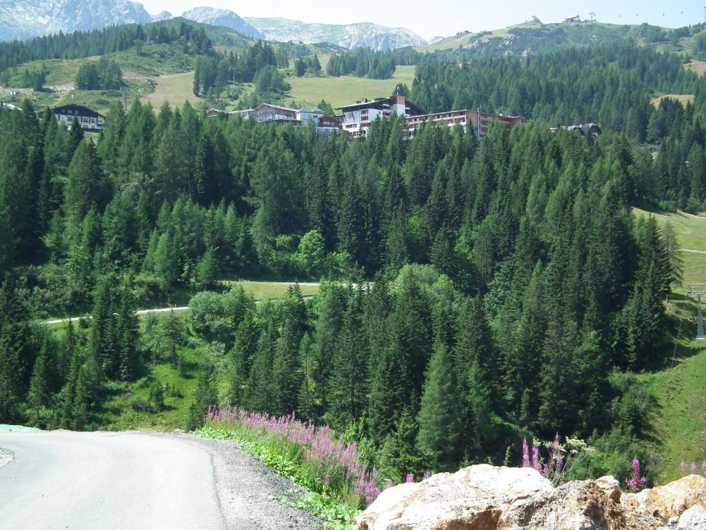 Nassfeld Apartments - "Traditionell Anders" Sonnenalpe Nassfeld Room photo